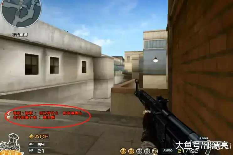 LOL官方宣布：2023上半赛季排位奖励皮肤为胜利凤凰艾尼维亚